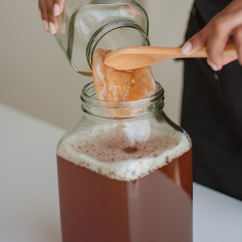 Taller Alimenta tu microbiota: elabora tu propia kombucha | Molina de Segura